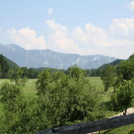 Sunny With Mountain *