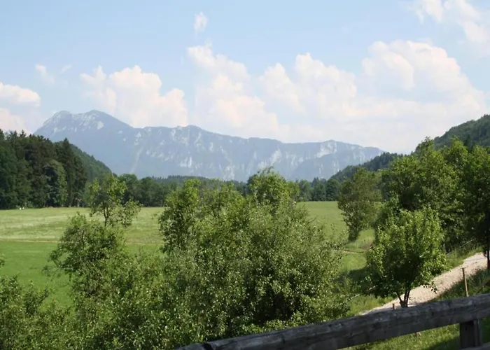 Sunny With Mountain *